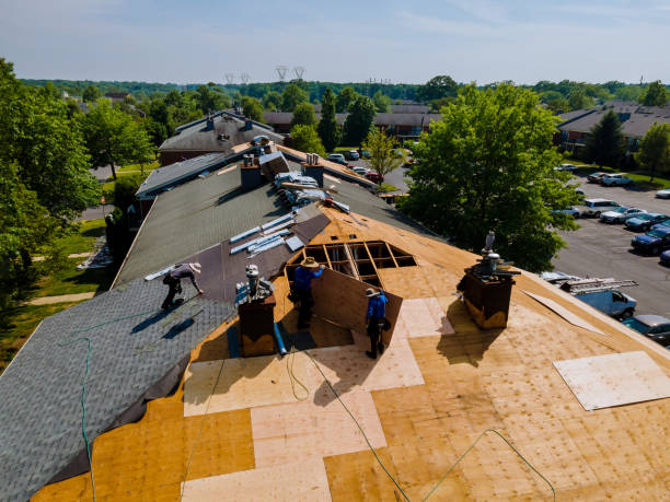 Best Local Roofing Companies  in Parsons, TN
